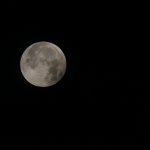 IMG_456971 grauer Mond1 (1)